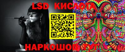 гашик Будённовск