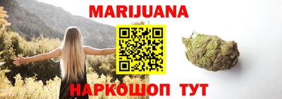 гашик Будённовск
