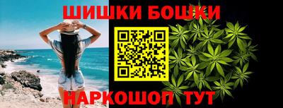 гашик Будённовск