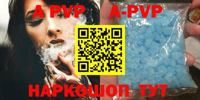 гашик Будённовск