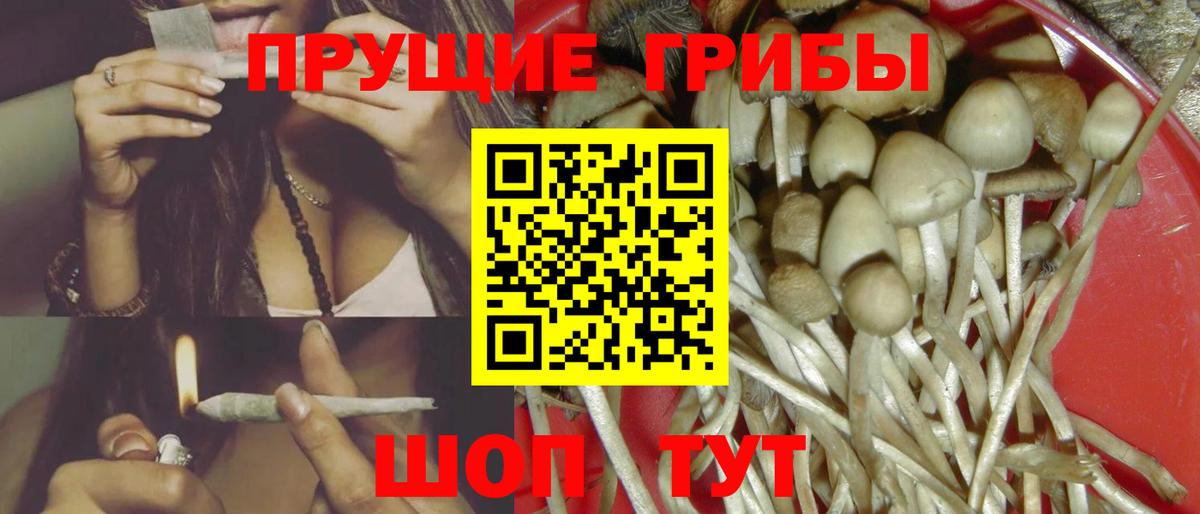 Псилоцибиновые грибы Psilocybine cubensis  Вход с VPN  Отрадный  Псилоцибиновые грибы Cubensis 